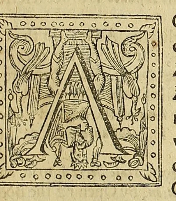 An illustration from Sylvia sylvarvm; or, A naturall historie, 1631, leaf 97