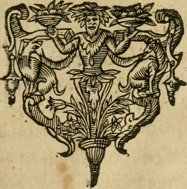 An illustration from Symbola avreae mensae dvodecim nationvm : hoc est, Hermaea sev Mercvrii festa ab heroibus duodenu selectu, artis chymicae usu, sapientia & authoritate paribvs celebrata, ad Pyrgopolynicen seu aduersarium illum tot annis iactabundum ..., 1617, leaf 112