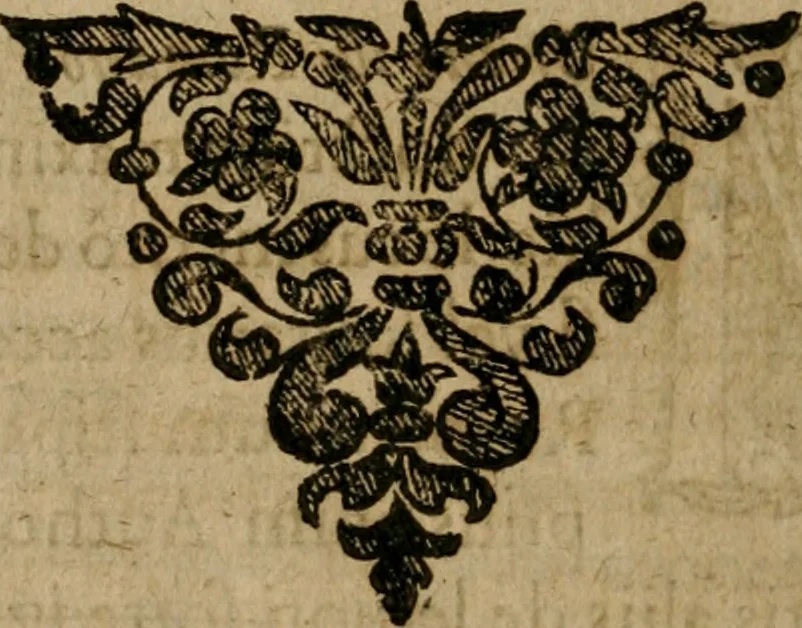 An illustration from Symbola avreae mensae dvodecim nationvm : hoc est, Hermaea sev Mercvrii festa ab heroibus duodenu selectu, artis chymicae usu, sapientia & authoritate paribvs celebrata, ad Pyrgopolynicen seu aduersarium illum tot annis iactabundum ..., 1617, leaf 163