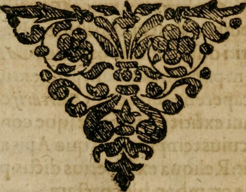 An illustration from Symbola avreae mensae dvodecim nationvm : hoc est, Hermaea sev Mercvrii festa ab heroibus duodenu selectu, artis chymicae usu, sapientia & authoritate paribvs celebrata, ad Pyrgopolynicen seu aduersarium illum tot annis iactabundum ..., 1617, leaf 213