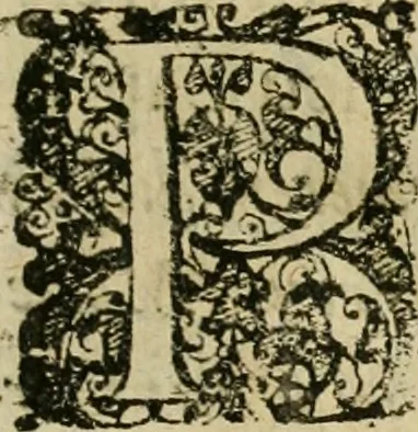An illustration from Symbola avreae mensae dvodecim nationvm : hoc est, Hermaea sev Mercvrii festa ab heroibus duodenu selectu, artis chymicae usu, sapientia & authoritate paribvs celebrata, ad Pyrgopolynicen seu aduersarium illum tot annis iactabundum ..., 1617, leaf 24