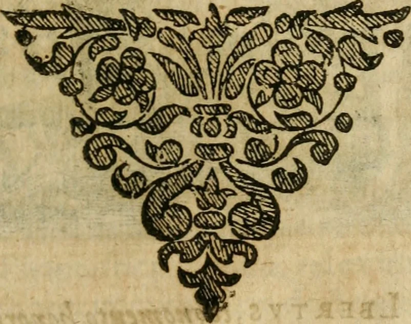 An illustration from Symbola avreae mensae dvodecim nationvm : hoc est, Hermaea sev Mercvrii festa ab heroibus duodenu selectu, artis chymicae usu, sapientia & authoritate paribvs celebrata, ad Pyrgopolynicen seu aduersarium illum tot annis iactabundum ..., 1617, leaf 260