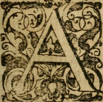An illustration from Symbola avreae mensae dvodecim nationvm : hoc est, Hermaea sev Mercvrii festa ab heroibus duodenu selectu, artis chymicae usu, sapientia & authoritate paribvs celebrata, ad Pyrgopolynicen seu aduersarium illum tot annis iactabundum ..., 1617, leaf 342