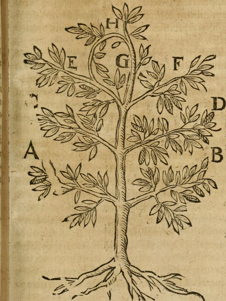 An illustration from Symbola avreae mensae dvodecim nationvm : hoc est, Hermaea sev Mercvrii festa ab heroibus duodenu selectu, artis chymicae usu, sapientia & authoritate paribvs celebrata, ad Pyrgopolynicen seu aduersarium illum tot annis iactabundum ..., 1617, leaf 368