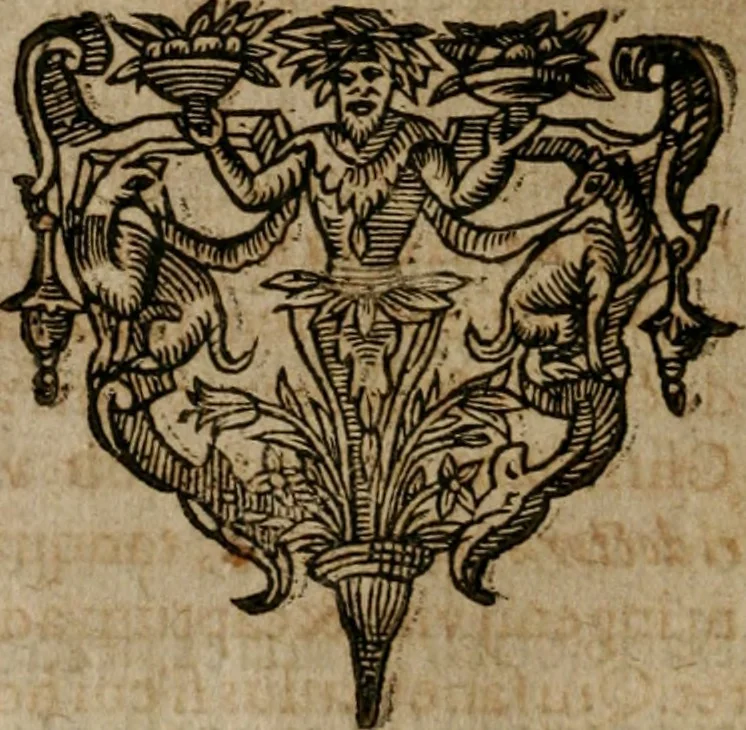 An illustration from Symbola avreae mensae dvodecim nationvm : hoc est, Hermaea sev Mercvrii festa ab heroibus duodenu selectu, artis chymicae usu, sapientia & authoritate paribvs celebrata, ad Pyrgopolynicen seu aduersarium illum tot annis iactabundum ..., 1617, leaf 387