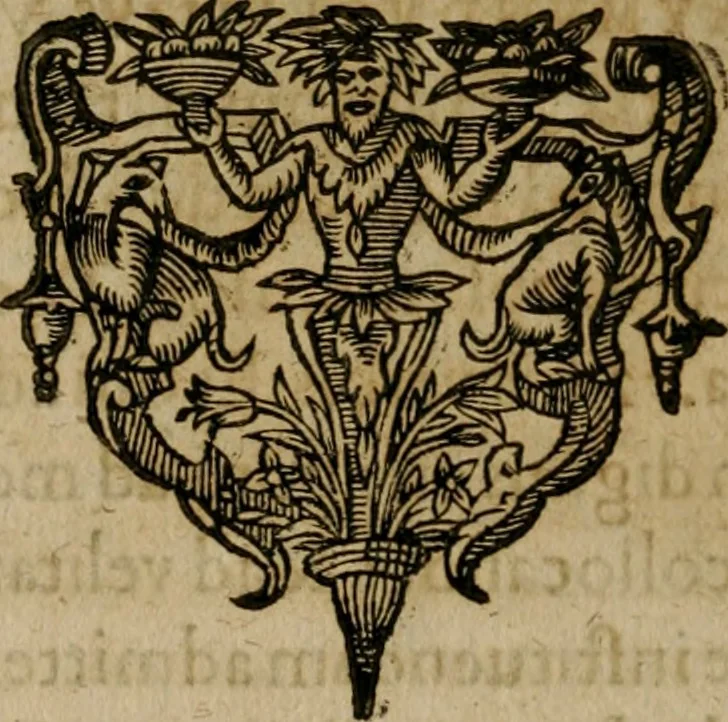 An illustration from Symbola avreae mensae dvodecim nationvm : hoc est, Hermaea sev Mercvrii festa ab heroibus duodenu selectu, artis chymicae usu, sapientia & authoritate paribvs celebrata, ad Pyrgopolynicen seu aduersarium illum tot annis iactabundum ..., 1617, leaf 427