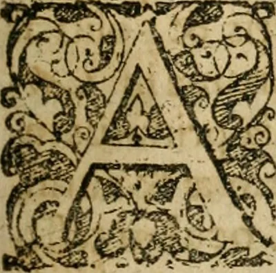 An illustration from Symbola avreae mensae dvodecim nationvm : hoc est, Hermaea sev Mercvrii festa ab heroibus duodenu selectu, artis chymicae usu, sapientia & authoritate paribvs celebrata, ad Pyrgopolynicen seu aduersarium illum tot annis iactabundum ..., 1617, leaf 428