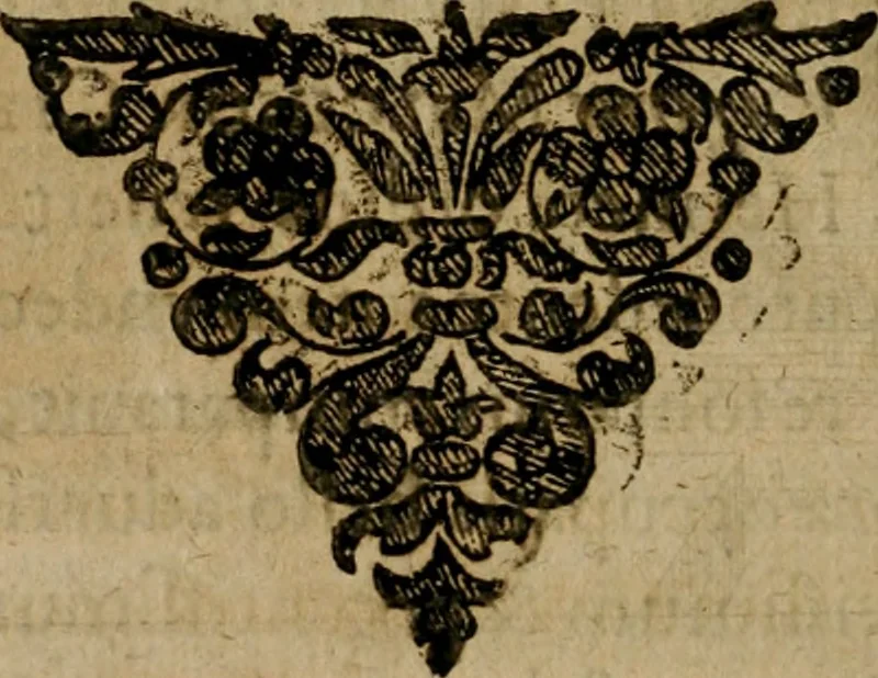 An illustration from Symbola avreae mensae dvodecim nationvm : hoc est, Hermaea sev Mercvrii festa ab heroibus duodenu selectu, artis chymicae usu, sapientia & authoritate paribvs celebrata, ad Pyrgopolynicen seu aduersarium illum tot annis iactabundum ..., 1617, leaf 531