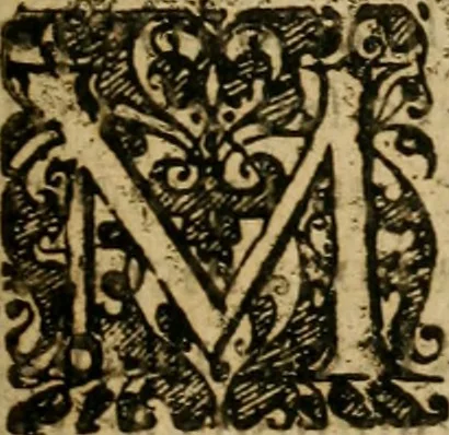 An illustration from Symbola avreae mensae dvodecim nationvm : hoc est, Hermaea sev Mercvrii festa ab heroibus duodenu selectu, artis chymicae usu, sapientia & authoritate paribvs celebrata, ad Pyrgopolynicen seu aduersarium illum tot annis iactabundum ..., 1617, leaf 532