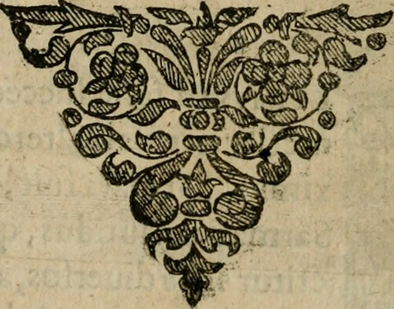 An illustration from Symbola avreae mensae dvodecim nationvm : hoc est, Hermaea sev Mercvrii festa ab heroibus duodenu selectu, artis chymicae usu, sapientia & authoritate paribvs celebrata, ad Pyrgopolynicen seu aduersarium illum tot annis iactabundum ..., 1617, leaf 577