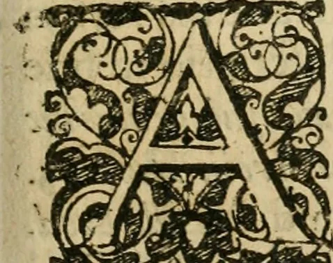 An illustration from Symbola avreae mensae dvodecim nationvm : hoc est, Hermaea sev Mercvrii festa ab heroibus duodenu selectu, artis chymicae usu, sapientia & authoritate paribvs celebrata, ad Pyrgopolynicen seu aduersarium illum tot annis iactabundum ..., 1617, leaf 578