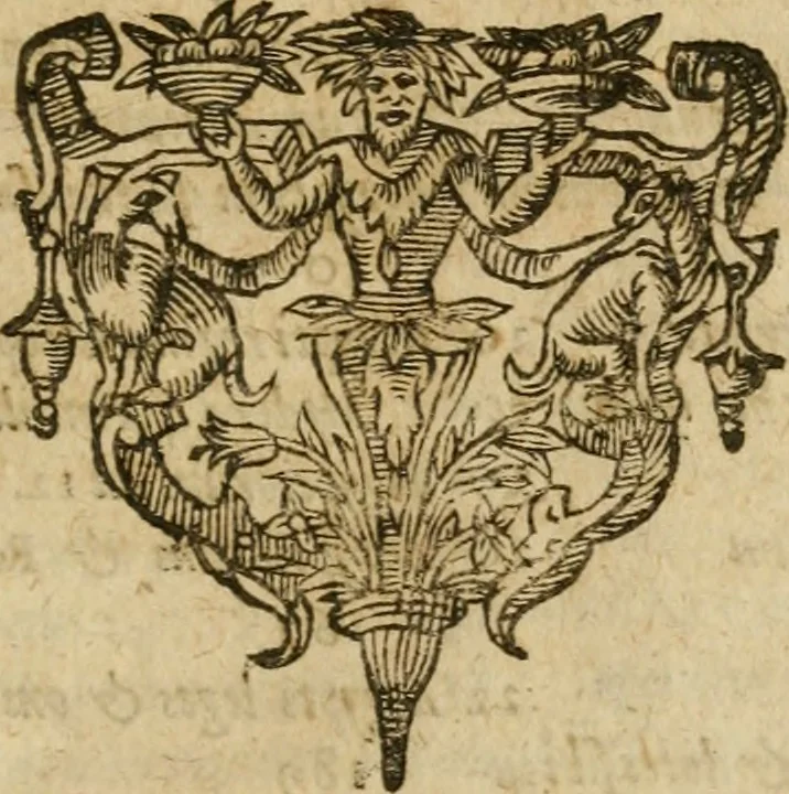 An illustration from Symbola avreae mensae dvodecim nationvm : hoc est, Hermaea sev Mercvrii festa ab heroibus duodenu selectu, artis chymicae usu, sapientia & authoritate paribvs celebrata, ad Pyrgopolynicen seu aduersarium illum tot annis iactabundum ..., 1617, leaf 650