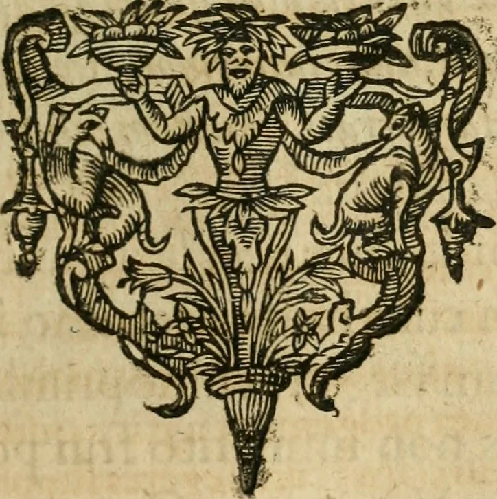 An illustration from Symbola avreae mensae dvodecim nationvm : hoc est, Hermaea sev Mercvrii festa ab heroibus duodenu selectu, artis chymicae usu, sapientia & authoritate paribvs celebrata, ad Pyrgopolynicen seu aduersarium illum tot annis iactabundum ..., 1617, leaf 78