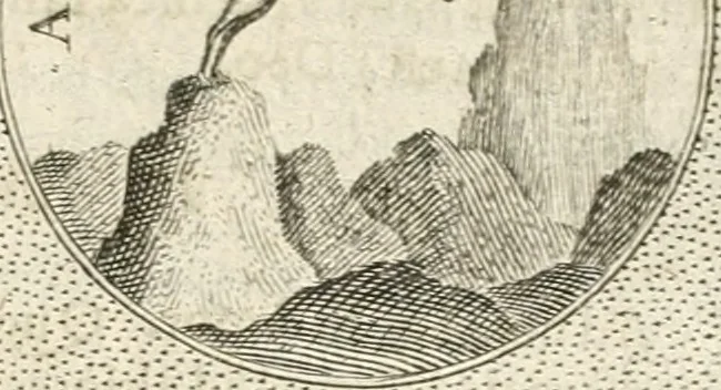 An illustration from Symbola diuina & humana pontificum, imperatorum, regum, 1652, leaf 122