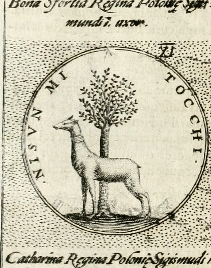 An illustration from Symbola diuina & humana pontificum, imperatorum, regum, 1652, leaf 127