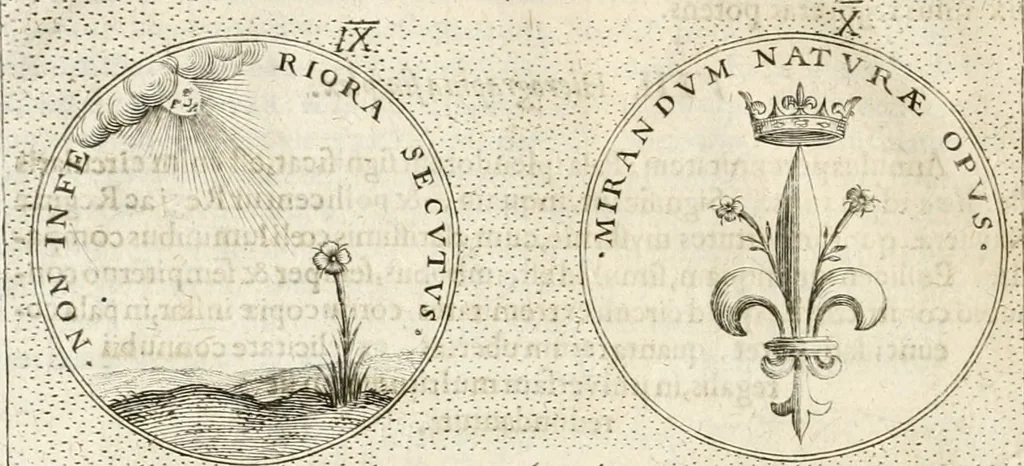 An illustration from Symbola diuina & humana pontificum, imperatorum, regum, 1652, leaf 139