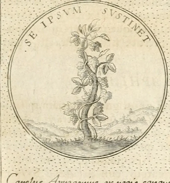 An illustration from Symbola diuina & humana pontificum, imperatorum, regum, 1652, leaf 156