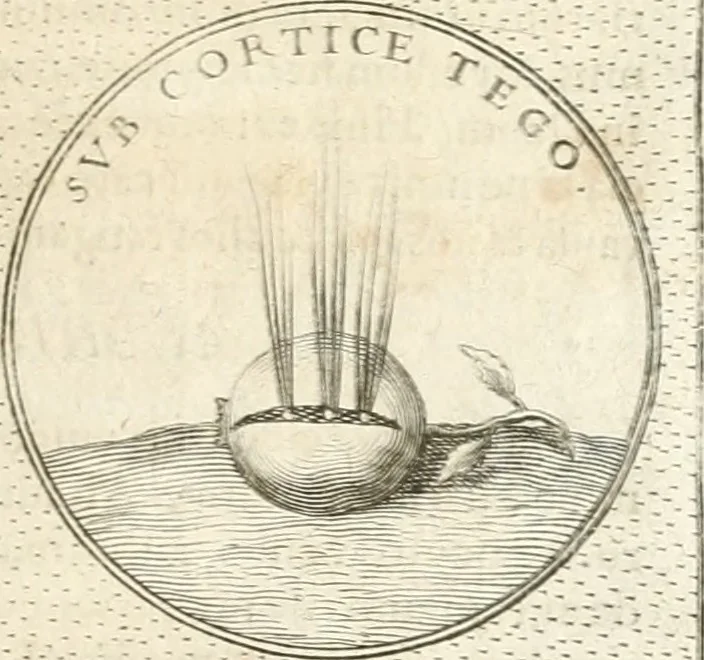 An illustration from Symbola diuina & humana pontificum, imperatorum, regum, 1652, leaf 156