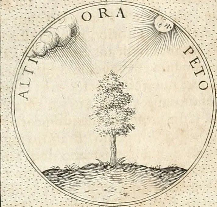 An illustration from Symbola diuina & humana pontificum, imperatorum, regum, 1652, leaf 219