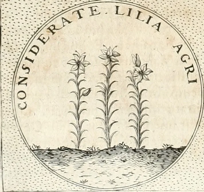 An illustration from Symbola diuina & humana pontificum, imperatorum, regum, 1652, leaf 219
