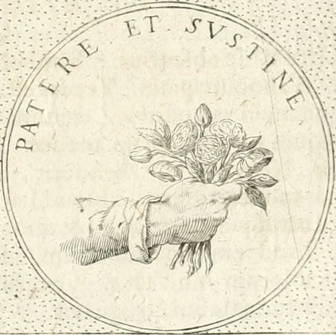 An illustration from Symbola diuina & humana pontificum, imperatorum, regum, 1652, leaf 250