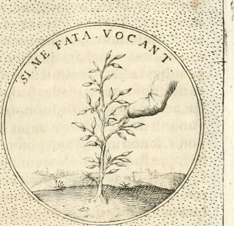 An illustration from Symbola diuina & humana pontificum, imperatorum, regum, 1652, leaf 290