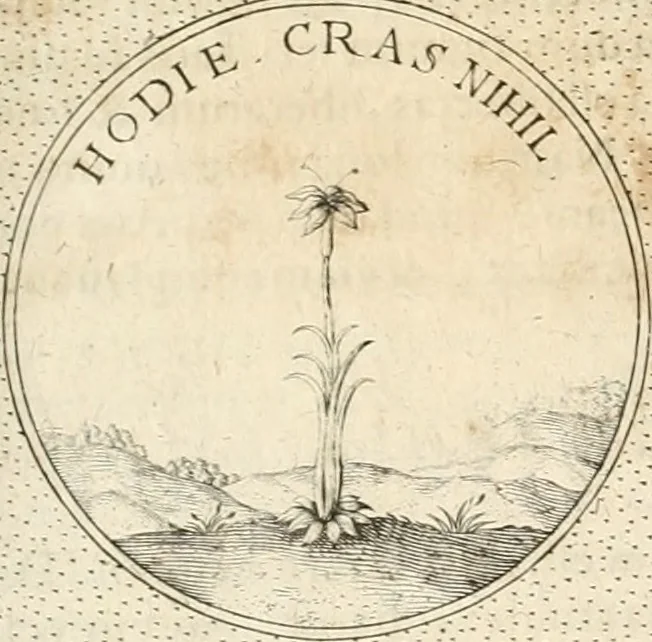 An illustration from Symbola diuina & humana pontificum, imperatorum, regum, 1652, leaf 304