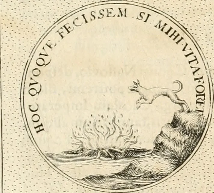 An illustration from Symbola diuina & humana pontificum, imperatorum, regum, 1652, leaf 314