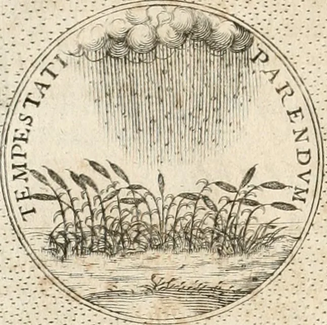 An illustration from Symbola diuina & humana pontificum, imperatorum, regum, 1652, leaf 317