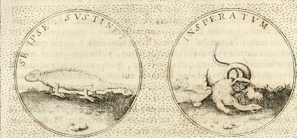 An illustration from Symbola diuina & humana pontificum, imperatorum, regum, 1652, leaf 320