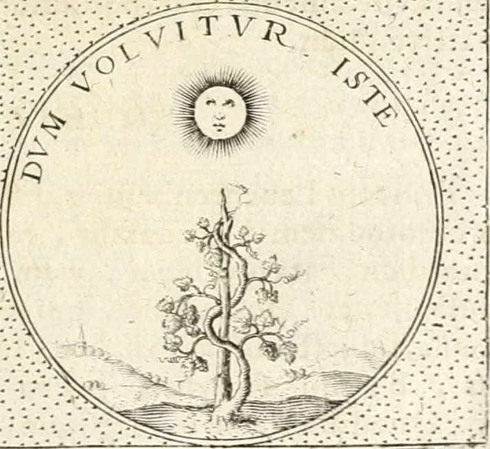 An illustration from Symbola diuina & humana pontificum, imperatorum, regum, 1652, leaf 320