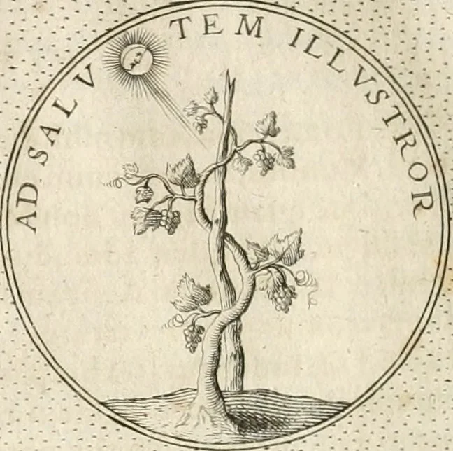 An illustration from Symbola diuina & humana pontificum, imperatorum, regum, 1652, leaf 323