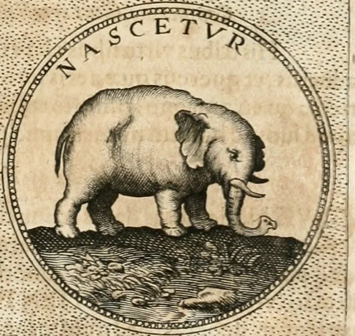 An illustration from Symbola diuina & humana pontificum, imperatorum, regum, 1652, leaf 350