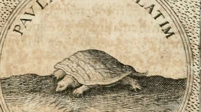 An illustration from Symbola diuina & humana pontificum, imperatorum, regum, 1652, leaf 356