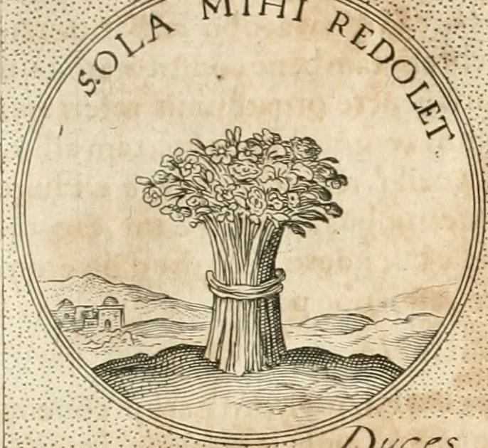 An illustration from Symbola diuina & humana pontificum, imperatorum, regum, 1652, leaf 360