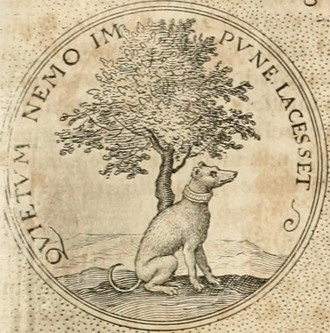 An illustration from Symbola diuina & humana pontificum, imperatorum, regum, 1652, leaf 364