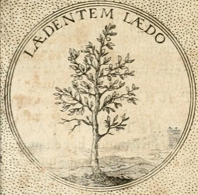 An illustration from Symbola diuina & humana pontificum, imperatorum, regum, 1652, leaf 385