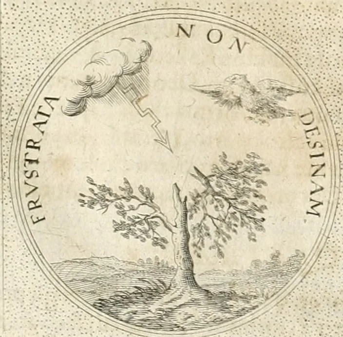 An illustration from Symbola diuina & humana pontificum, imperatorum, regum, 1652, leaf 428