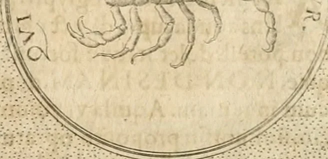 An illustration from Symbola diuina & humana pontificum, imperatorum, regum, 1652, leaf 431