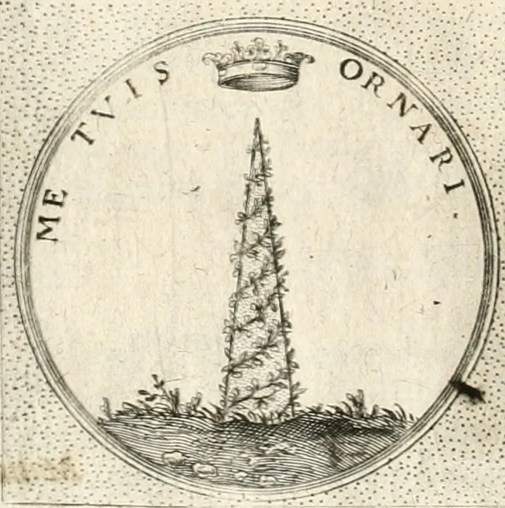 An illustration from Symbola diuina & humana pontificum, imperatorum, regum, 1652, leaf 451