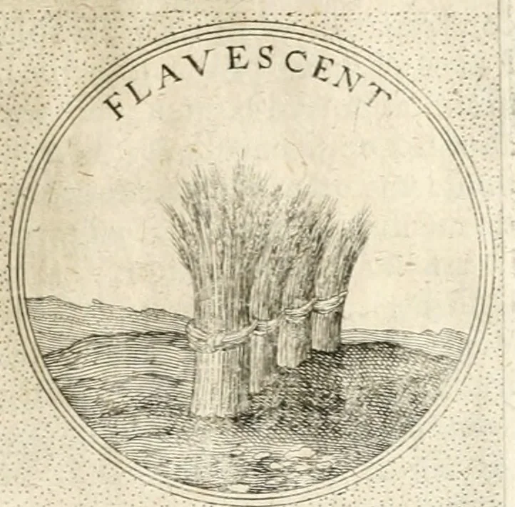 An illustration from Symbola diuina & humana pontificum, imperatorum, regum, 1652, leaf 458