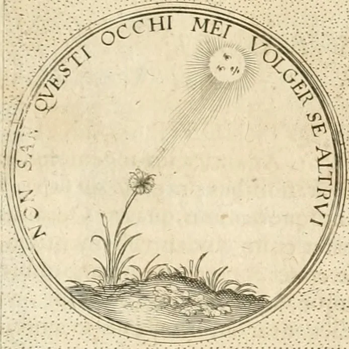 An illustration from Symbola diuina & humana pontificum, imperatorum, regum, 1652, leaf 466