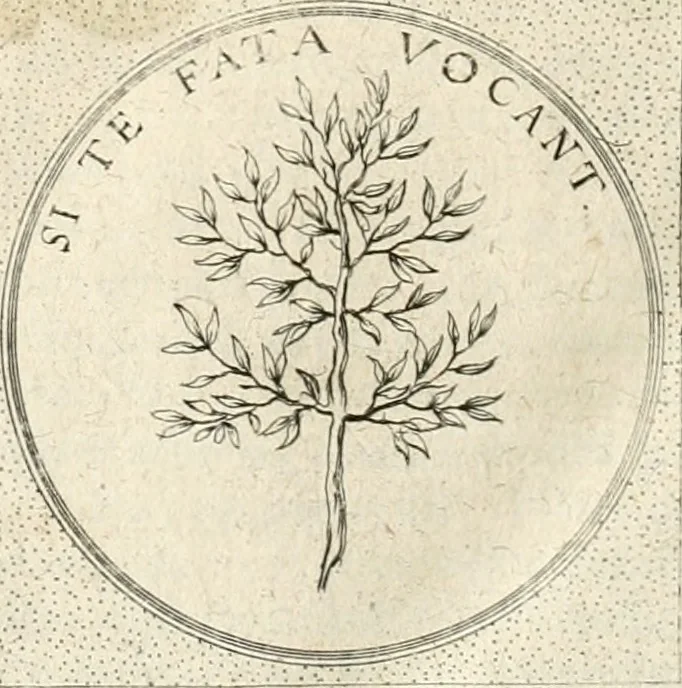 An illustration from Symbola diuina & humana pontificum, imperatorum, regum, 1652, leaf 475