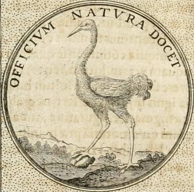 An illustration from Symbola diuina & humana pontificum, imperatorum, regum, 1652, leaf 479