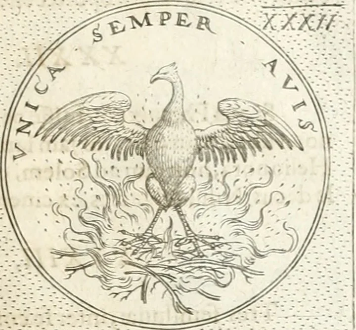 An illustration from Symbola diuina & humana pontificum, imperatorum, regum, 1652, leaf 88