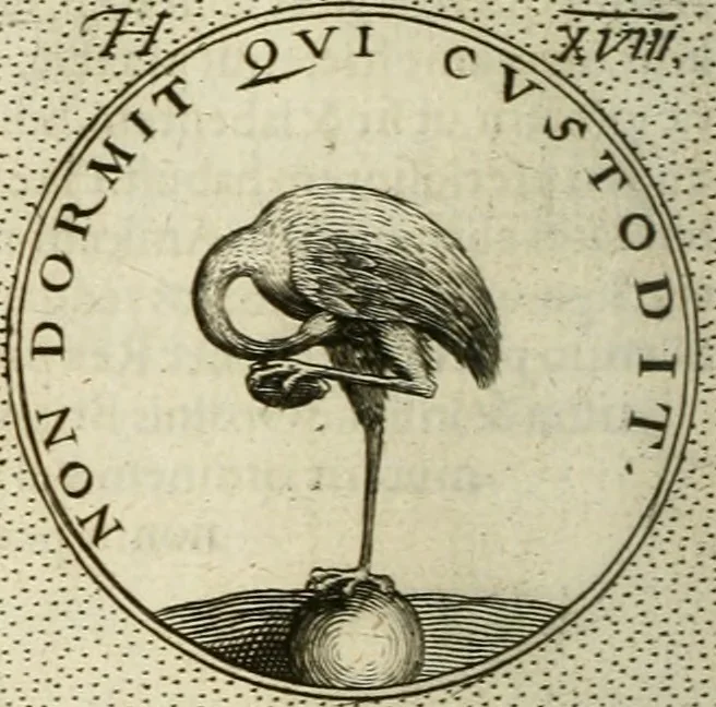 An illustration from Symbola diuina & humana pontificum, imperatorum, regum, 1601, leaf 111