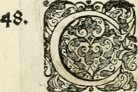 An illustration from Symbola diuina & humana pontificum, imperatorum, regum, 1601, leaf 115