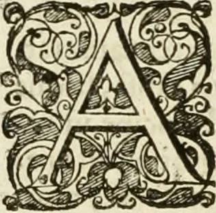 An illustration from Symbola diuina & humana pontificum, imperatorum, regum, 1601, leaf 125