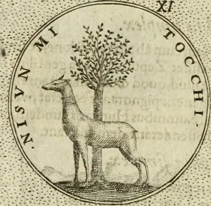 An illustration from Symbola diuina & humana pontificum, imperatorum, regum, 1601, leaf 133