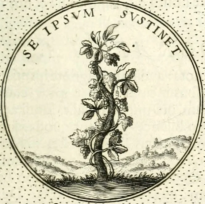 An illustration from Symbola diuina & humana pontificum, imperatorum, regum, 1601, leaf 158